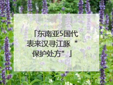 东南亚5国代表来汉寻江豚“保护处方”