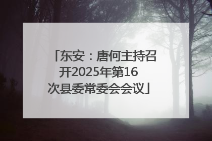 东安：唐何主持召开2025年第16次县委常委会会议