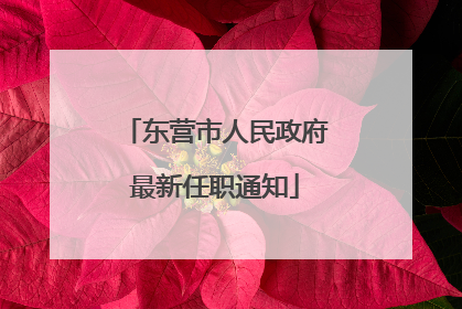 东营市人民政府最新任职通知