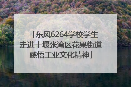 东风6264学校学生走进十堰张湾区花果街道感悟工业文化精神