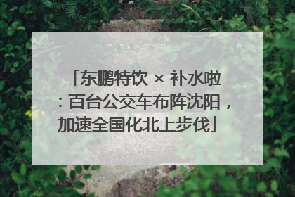 东鹏特饮 × 补水啦：百台公交车布阵沈阳，加速全国化北上步伐