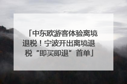 中东欧游客体验离境退税！宁波开出离境退税“即买即退”首单