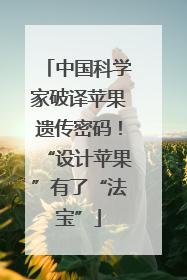 中国科学家破译苹果遗传密码！“设计苹果”有了“法宝”