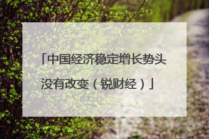 中国经济稳定增长势头没有改变（锐财经）