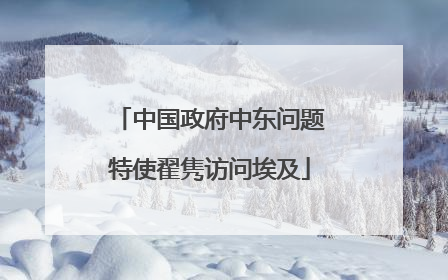 中国政府中东问题特使翟隽访问埃及