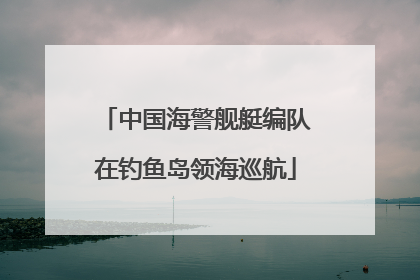 中国海警舰艇编队在钓鱼岛领海巡航
