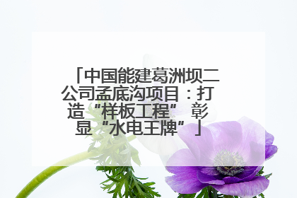 中国能建葛洲坝二公司孟底沟项目：打造“样板工程” 彰显“水电王牌”