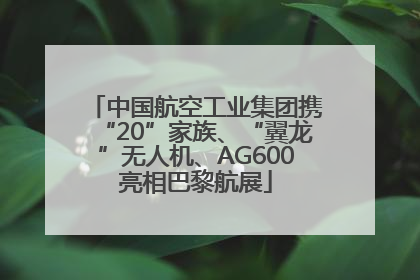 中国航空工业集团携“20”家族、“翼龙”无人机、AG600亮相巴黎航展