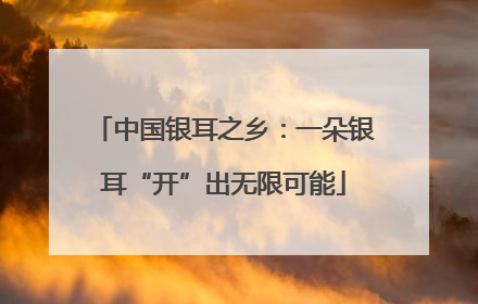 中国银耳之乡：一朵银耳“开”出无限可能