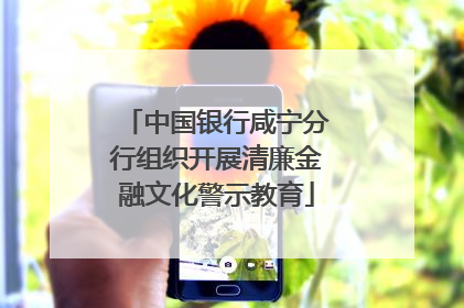 中国银行咸宁分行组织开展清廉金融文化警示教育