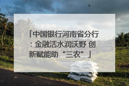中国银行河南省分行：金融活水润沃野 创新赋能助“三农”