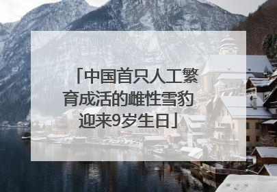 中国首只人工繁育成活的雌性雪豹迎来9岁生日