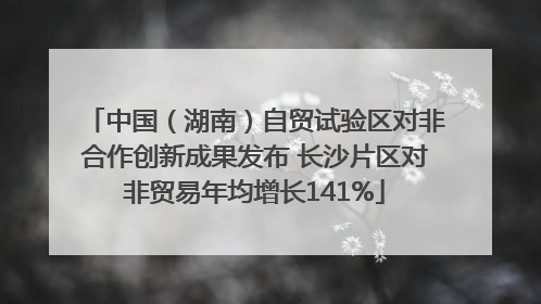 中国（湖南）自贸试验区对非合作创新成果发布 长沙片区对非贸易年均增长141%