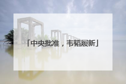 中央批准，韦韬履新