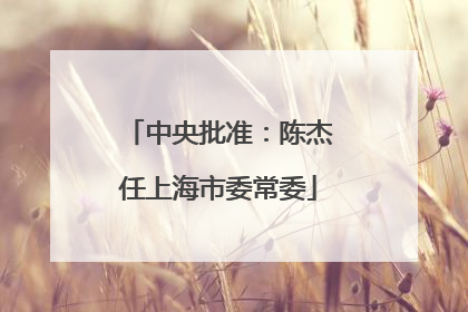 中央批准：陈杰任上海市委常委