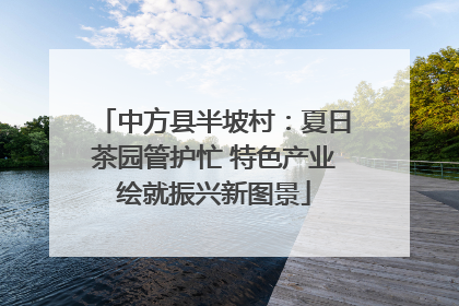 中方县半坡村：夏日茶园管护忙 特色产业绘就振兴新图景
