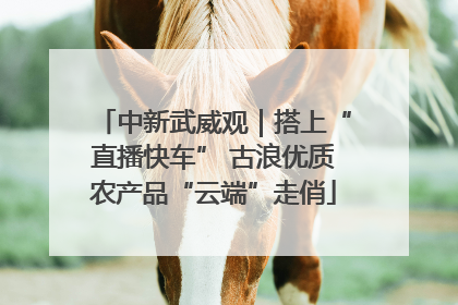 中新武威观｜搭上“直播快车” 古浪优质农产品“云端”走俏