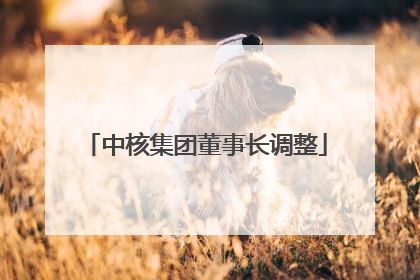 中核集团董事长调整