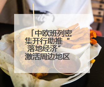 中欧班列密集开行助推“落地经济” 激活周边地区发展新动能