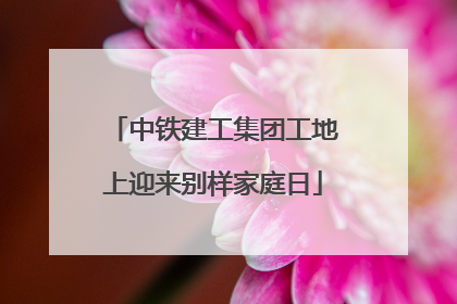 中铁建工集团工地上迎来别样家庭日