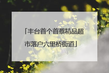 丰台首个首蔡精品超市落户六里桥街道