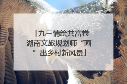 九三情绘共富卷 湖南文旅规划师“画”出乡村新风景