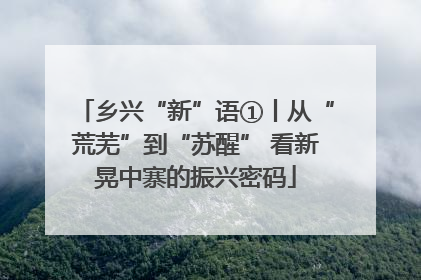 乡兴“新”语①丨从“荒芜”到“苏醒” 看新晃中寨的振兴密码