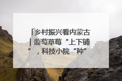 乡村振兴看内蒙古｜葡萄草莓“上下铺”，科技小院“种”出三倍效益