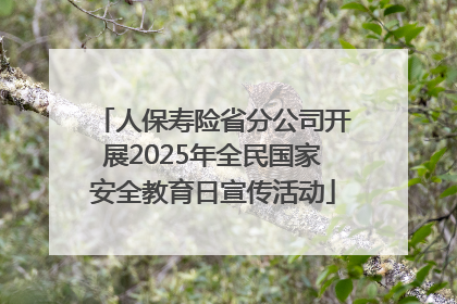 人保寿险省分公司开展2025年全民国家安全教育日宣传活动