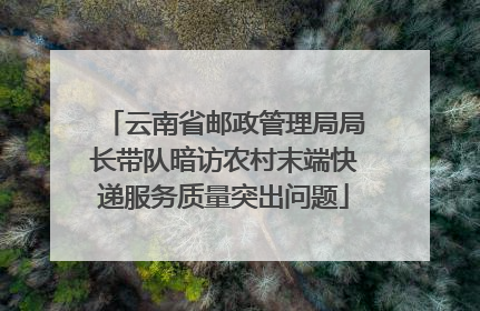 云南省邮政管理局局长带队暗访农村末端快递服务质量突出问题