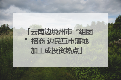 云南边境州市“组团”招商 边民互市落地加工成投资热点