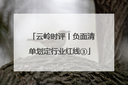 云岭时评丨负面清单划定行业红线③