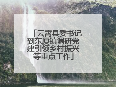 云霄县委书记到东厦镇调研党建引领乡村振兴等重点工作