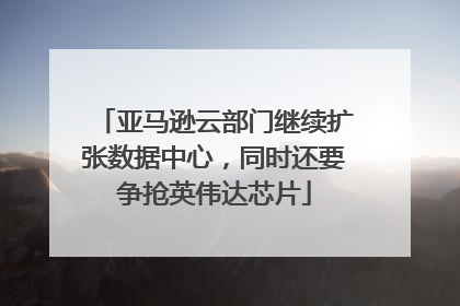 亚马逊云部门继续扩张数据中心，同时还要争抢英伟达芯片