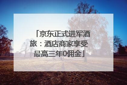 京东正式进军酒旅：酒店商家享受最高三年0佣金