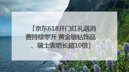 京东618开门红礼遇消费持续攀升 黄金镶钻饰品、瑞士表增长超10倍