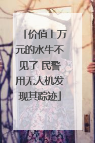 价值上万元的水牛不见了 民警用无人机发现其踪迹