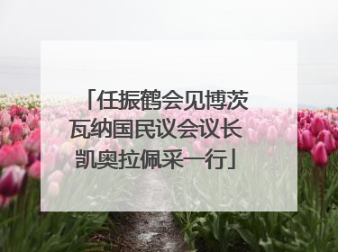 任振鹤会见博茨瓦纳国民议会议长凯奥拉佩采一行