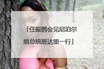 任振鹤会见尼泊尔前总统班达里一行