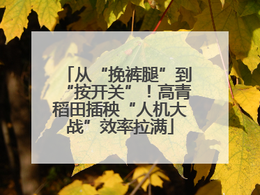 从“挽裤腿”到“按开关”！高青稻田插秧“人机大战”效率拉满