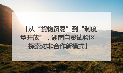 从“货物贸易”到“制度型开放”，湖南自贸试验区探索对非合作新模式