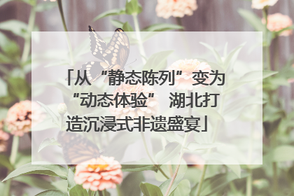 从“静态陈列”变为“动态体验” 湖北打造沉浸式非遗盛宴