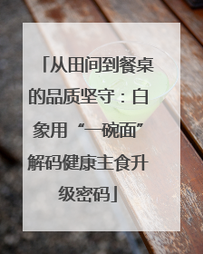 从田间到餐桌的品质坚守：白象用“一碗面”解码健康主食升级密码