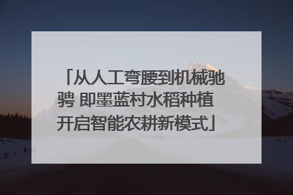 从人工弯腰到机械驰骋 即墨蓝村水稻种植开启智能农耕新模式