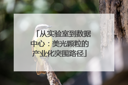 从实验室到数据中心：美光颗粒的产业化突围路径