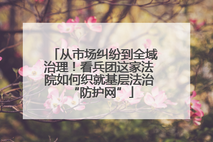 从市场纠纷到全域治理！看兵团这家法院如何织就基层法治 “防护网”