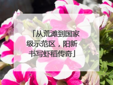 从荒滩到国家级示范区，阳新书写虾稻传奇