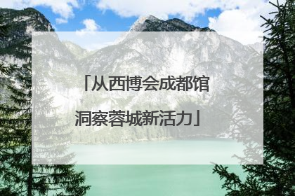 从西博会成都馆洞察蓉城新活力