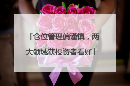 仓位管理偏谨慎，两大领域获投资者看好