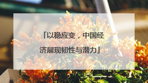 以稳应变，中国经济展现韧性与潜力